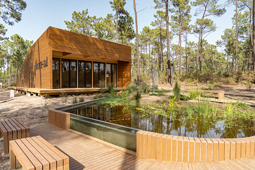 Verdizela - praias próximas da Costa da Caparica